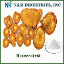 N&R hot selling resveratrol powder/resveratrol factory sell/resveratrol